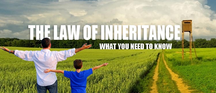 The Law of Inheritance – what you need to know