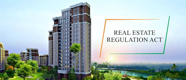 RERA-Newsletter