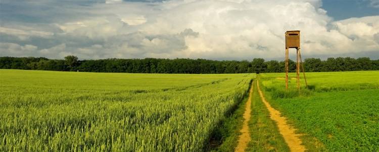 shared ownership shared ownership of land