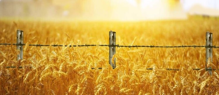 property of property | partition suit